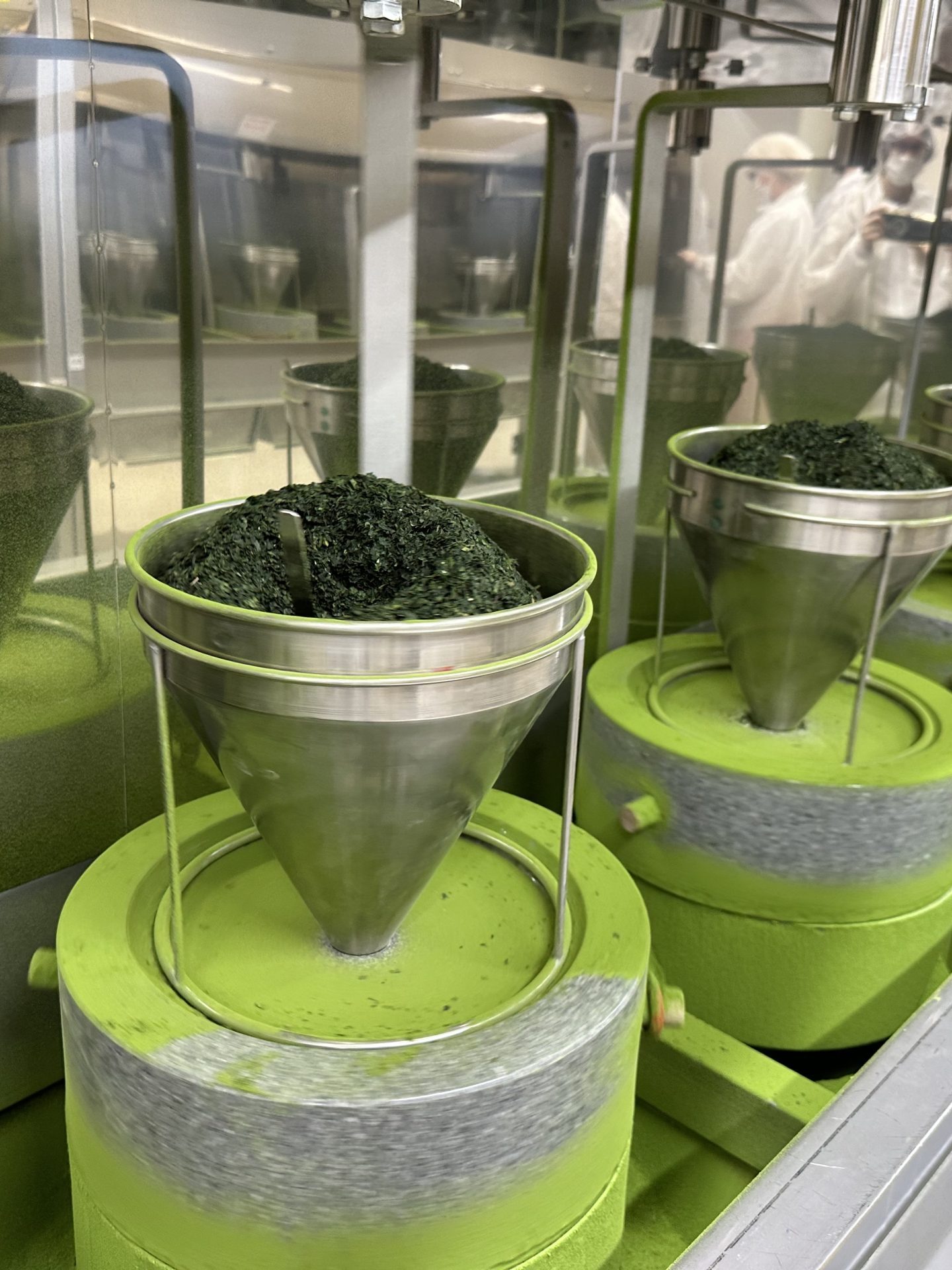 Matcha being prepared in a traditional tea ceremony